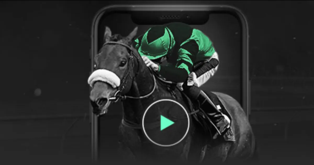 年体育文化,交流与国际,传播能力提,世界杯预选赛,2026世界杯,赛程安排,预选队伍,最新动态