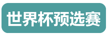 世界杯预选赛